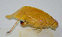  ( - 20150508004)  @12 [ ] CreativeCommons - Attribution (2010) Zhi-Jun Zhou Centre for Biodiversity Genomics