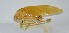  ( - 20150508006)  @12 [ ] CreativeCommons - Attribution (2010) Zhi-Jun Zhou Centre for Biodiversity Genomics