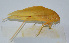  ( - 20150508011)  @13 [ ] CreativeCommons - Attribution (2010) Zhi-Jun Zhou Centre for Biodiversity Genomics