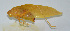  ( - 20150508023)  @13 [ ] CreativeCommons - Attribution (2010) Zhi-Jun Zhou Centre for Biodiversity Genomics