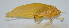  ( - 20150508032)  @13 [ ] CreativeCommons - Attribution (2010) Zhi-Jun Zhou Centre for Biodiversity Genomics