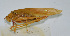  ( - 20150508045)  @12 [ ] CreativeCommons - Attribution (2010) Zhi-Jun Zhou Centre for Biodiversity Genomics
