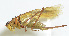  ( - 20150521013)  @13 [ ] CreativeCommons - Attribution (2010) Zhi-Jun Zhou Centre for Biodiversity Genomics