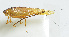  ( - 20150521038)  @12 [ ] CreativeCommons - Attribution (2010) Zhi-Jun Zhou Centre for Biodiversity Genomics