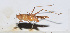  ( - 201506-1F)  @13 [ ] CreativeCommons - Attribution (2010) Zhi-Jun Zhou Centre for Biodiversity Genomics