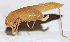  ( - 201506-4E)  @12 [ ] CreativeCommons - Attribution (2010) Zhi-Jun Zhou Centre for Biodiversity Genomics