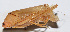  ( - 201506-7E)  @11 [ ] CreativeCommons - Attribution (2010) Zhi-Jun Zhou Centre for Biodiversity Genomics