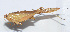  ( - 20150606035)  @13 [ ] CreativeCommons - Attribution (2010) Zhi-Jun Zhou Centre for Biodiversity Genomics