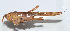  ( - 20150606036)  @12 [ ] CreativeCommons - Attribution (2010) Zhi-Jun Zhou Centre for Biodiversity Genomics