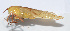  ( - 20150606040)  @12 [ ] CreativeCommons - Attribution (2010) Zhi-Jun Zhou Centre for Biodiversity Genomics