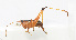  ( - 20150608003)  @13 [ ] CreativeCommons - Attribution (2010) Zhi-Jun Zhou Centre for Biodiversity Genomics