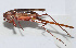  ( - 20150608015)  @13 [ ] CreativeCommons - Attribution (2010) Zhi-Jun Zhou Centre for Biodiversity Genomics