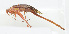  ( - 20150608018)  @13 [ ] CreativeCommons - Attribution (2010) Zhi-Jun Zhou Centre for Biodiversity Genomics