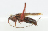  ( - 20150608020)  @13 [ ] CreativeCommons - Attribution (2010) Zhi-Jun Zhou Centre for Biodiversity Genomics