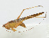  ( - 20150608036)  @13 [ ] CreativeCommons - Attribution (2010) Zhi-Jun Zhou Centre for Biodiversity Genomics