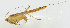  ( - 20150608037)  @13 [ ] CreativeCommons - Attribution (2010) Zhi-Jun Zhou Centre for Biodiversity Genomics