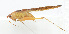  ( - 20150610011)  @13 [ ] CreativeCommons - Attribution (2010) Zhi-Jun Zhou Centre for Biodiversity Genomics