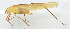  ( - 20150610019)  @13 [ ] CreativeCommons - Attribution (2010) Zhi-Jun Zhou Centre for Biodiversity Genomics