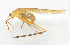 ( - 20150610021)  @13 [ ] CreativeCommons - Attribution (2010) Zhi-Jun Zhou Centre for Biodiversity Genomics