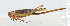  ( - 20150610028)  @13 [ ] CreativeCommons - Attribution (2010) Zhi-Jun Zhou Centre for Biodiversity Genomics