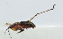  ( - 20150610035)  @12 [ ] CreativeCommons - Attribution (2010) Zhi-Jun Zhou Centre for Biodiversity Genomics