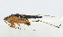  ( - 20150610038)  @12 [ ] CreativeCommons - Attribution (2010) Zhi-Jun Zhou Centre for Biodiversity Genomics