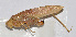  ( - 20150720010)  @13 [ ] CreativeCommons - Attribution (2010) Zhi-Jun Zhou Centre for Biodiversity Genomics