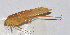  ( - 20150720017)  @13 [ ] CreativeCommons - Attribution (2010) Zhi-Jun Zhou Centre for Biodiversity Genomics