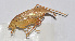  ( - 20150720019)  @13 [ ] CreativeCommons - Attribution (2010) Zhi-Jun Zhou Centre for Biodiversity Genomics