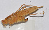  ( - 20150720025)  @13 [ ] CreativeCommons - Attribution (2010) Zhi-Jun Zhou Centre for Biodiversity Genomics