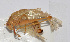  ( - 20150720034)  @12 [ ] CreativeCommons - Attribution (2010) Zhi-Jun Zhou Centre for Biodiversity Genomics