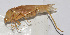  ( - 20150720038)  @12 [ ] CreativeCommons - Attribution (2010) Zhi-Jun Zhou Centre for Biodiversity Genomics