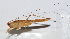  ( - 20150914020)  @12 [ ] CreativeCommons - Attribution (2010) Zhi-Jun Zhou Centre for Biodiversity Genomics