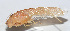  ( - 20150914029)  @12 [ ] CreativeCommons - Attribution (2010) Zhi-Jun Zhou Centre for Biodiversity Genomics