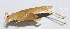  ( - 20150914033)  @13 [ ] CreativeCommons - Attribution (2010) Zhi-Jun Zhou Centre for Biodiversity Genomics