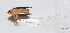  ( - 20150914039)  @13 [ ] CreativeCommons - Attribution (2010) Zhi-Jun Zhou Centre for Biodiversity Genomics