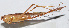  ( - 20150914056)  @13 [ ] CreativeCommons - Attribution (2010) Zhi-Jun Zhou Centre for Biodiversity Genomics