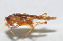  ( - 20150914073)  @13 [ ] CreativeCommons - Attribution (2010) Zhi-Jun Zhou Centre for Biodiversity Genomics
