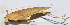  ( - 201511-6G)  @12 [ ] CreativeCommons - Attribution (2010) Zhi-Jun Zhou Centre for Biodiversity Genomics