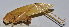  ( - 201512-10C)  @12 [ ] CreativeCommons - Attribution (2010) Zhi-Jun Zhou Centre for Biodiversity Genomics