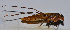  ( - 201512-11E)  @13 [ ] CreativeCommons - Attribution (2010) Zhi-Jun Zhou Centre for Biodiversity Genomics