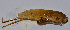  ( - 201512-11H)  @12 [ ] CreativeCommons - Attribution (2010) Zhi-Jun Zhou Centre for Biodiversity Genomics