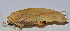  ( - 201512-12D)  @12 [ ] CreativeCommons - Attribution (2010) Zhi-Jun Zhou Centre for Biodiversity Genomics