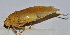  ( - 201512-4F)  @12 [ ] CreativeCommons - Attribution (2010) Zhi-Jun Zhou Centre for Biodiversity Genomics