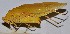  ( - 201512-4H)  @13 [ ] CreativeCommons - Attribution (2010) Zhi-Jun Zhou Centre for Biodiversity Genomics