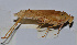  ( - 201512-9H)  @12 [ ] CreativeCommons - Attribution (2010) Zhi-Jun Zhou Centre for Biodiversity Genomics