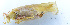  ( - 201514-4H)  @12 [ ] CreativeCommons - Attribution (2010) Zhi-Jun Zhou Centre for Biodiversity Genomics
