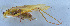  ( - 201601-11H)  @12 [ ] CreativeCommons - Attribution (2010) Zhi-Jun Zhou Centre for Biodiversity Genomics