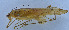  ( - 201603-11E)  @12 [ ] CreativeCommons - Attribution (2010) Zhi-Jun Zhou Centre for Biodiversity Genomics