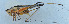  ( - 201603-2B)  @12 [ ] CreativeCommons - Attribution (2010) Zhi-Jun Zhou Centre for Biodiversity Genomics